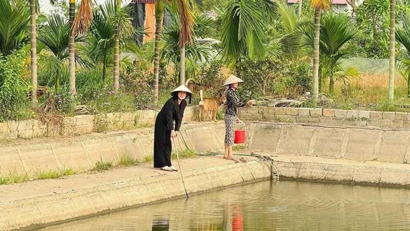 Thủ khoa đại học bỏ phố về quê nuôi 1.500 con gà, phát triển đầm tôm 6.000m² Thủ khoa đại học bỏ phố về quê nuôi 1.500 con gà, phát triển đầm tôm 6.000m²