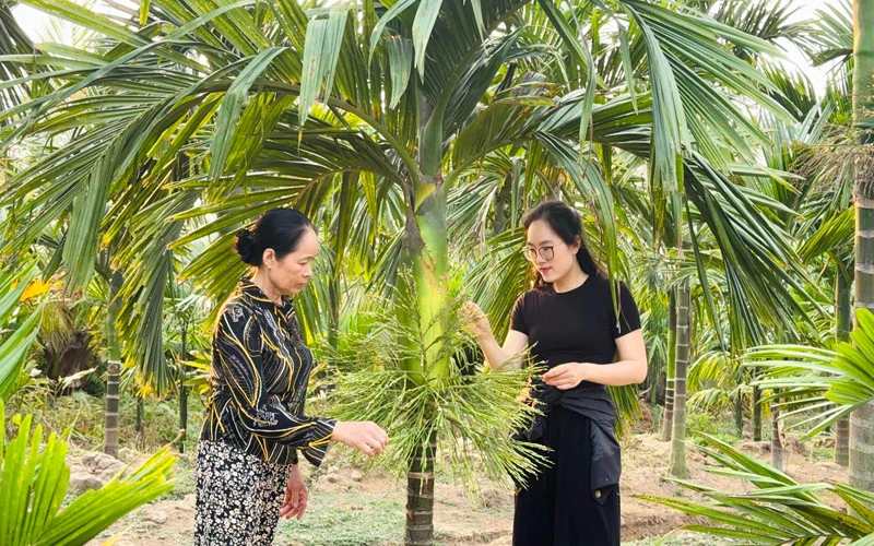 Thủ khoa đại học bỏ phố về quê nuôi 1.500 con gà, phát triển đầm tôm 6.000m² Thủ khoa đại học bỏ phố về quê nuôi 1.500 con gà, phát triển đầm tôm 6.000m²