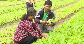 Trăn trở của cử tri và điểm sáng từ sự tiên phong của thanh niên