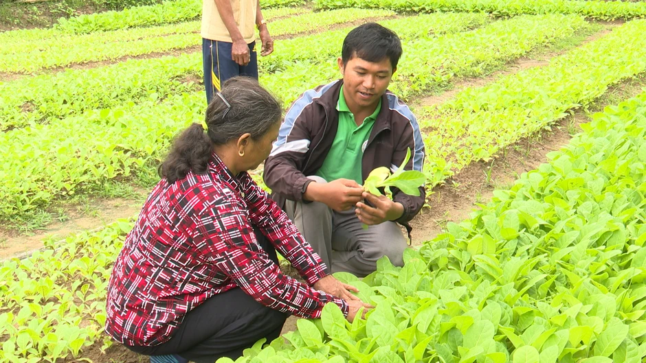 Trăn trở của cử tri và điểm sáng từ sự tiên phong của thanh niên Trăn trở của cử tri và điểm sáng từ sự tiên phong của thanh niên