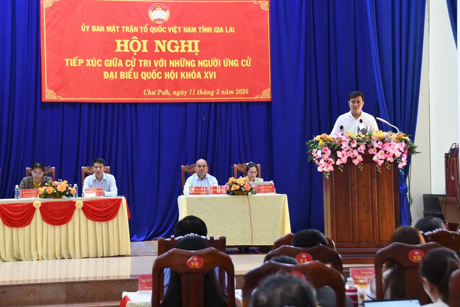 Từ ruộng đồng đến nghị trường: Cử tri mong chính sách giúp thanh niên khởi nghiệp tại quê Từ ruộng đồng đến nghị trường: Cử tri mong chính sách giúp thanh niên khởi nghiệp tại quê