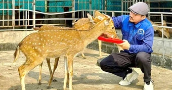 Ước mơ nâng tầm sản phẩm nhung hươu