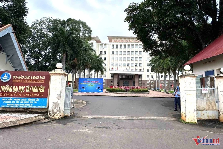 Điểm chuẩn ĐH Tây Nguyên 2026: Giáo dục Thể chất lên tới 25,95 điểm