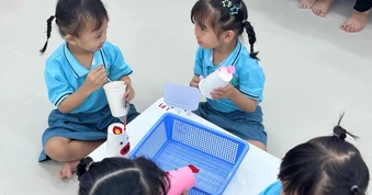 TPHCM thí điểm chương trình giáo dục mầm non mới: Đảm bảo 6 yêu cầu