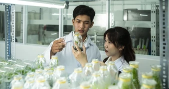 Trường ĐH Văn Lang công bố học bổng "khủng" lên đến 800 triệu đồng/suất