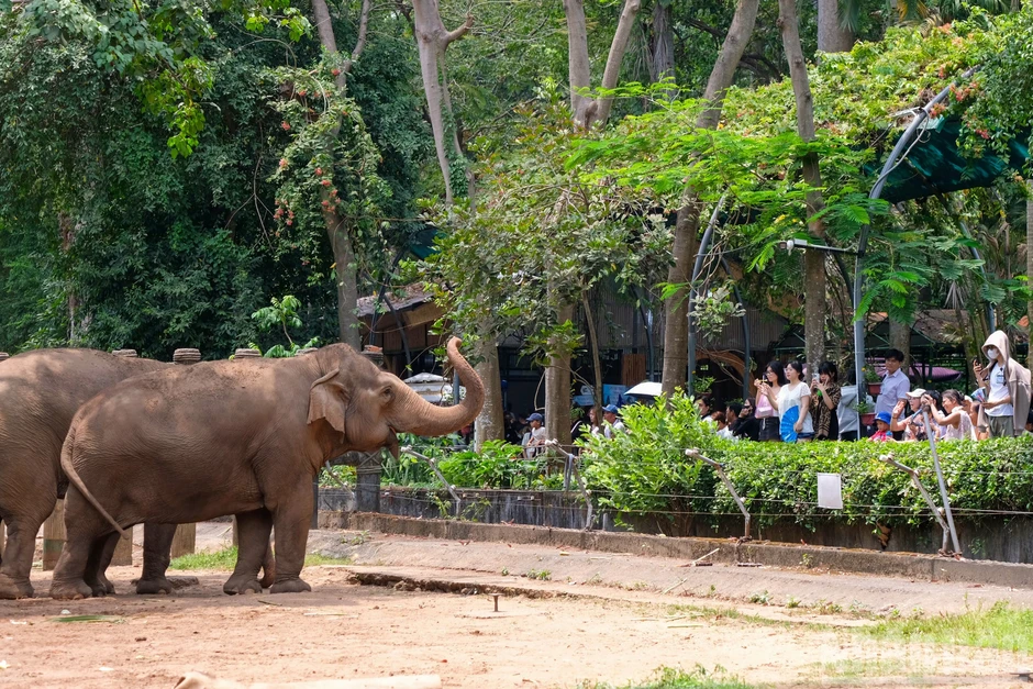 [Ảnh] Thành phố Hồ Chí Minh sôi động với hàng loạt hoạt động văn hóa nhân dịp lễ 30/4 và 1/5