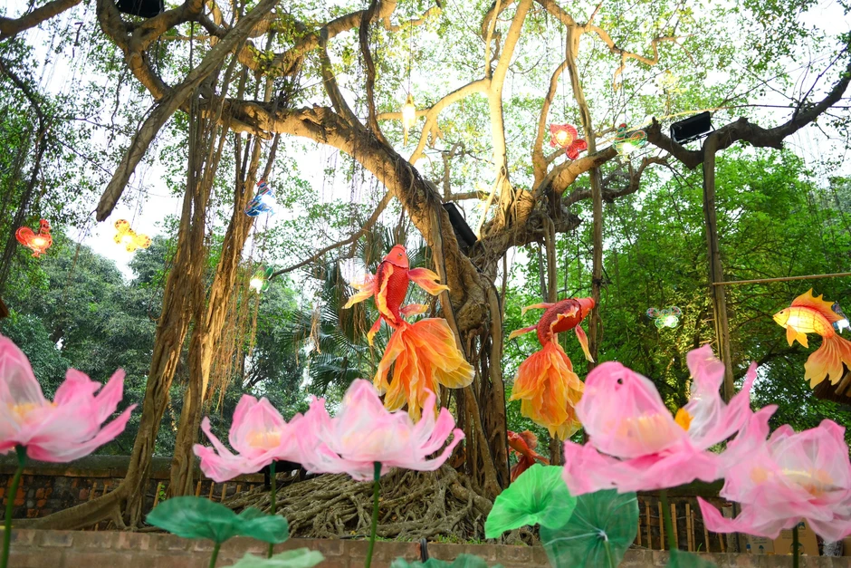 [Ảnh] “Vườn ánh sáng” thắp sáng di sản tại Văn Miếu-Quốc Tử Giám