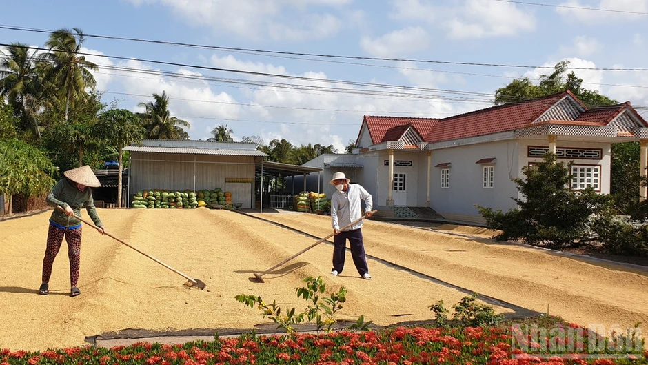 "Biểu tượng bông lúa" ở Cà Mau: Không thể bóp méo giá trị văn hóa bằng vỏ bọc "thương dân" "Biểu tượng bông lúa" ở Cà Mau: Không thể bóp méo giá trị văn hóa bằng vỏ bọc "thương dân"