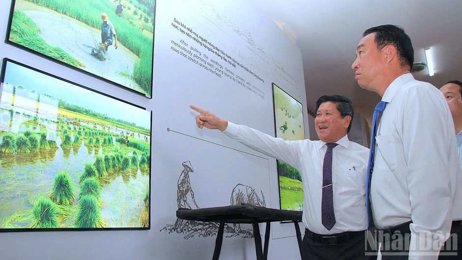 "Biểu tượng bông lúa" ở Cà Mau: Không thể bóp méo giá trị văn hóa bằng vỏ bọc "thương dân" "Biểu tượng bông lúa" ở Cà Mau: Không thể bóp méo giá trị văn hóa bằng vỏ bọc "thương dân"