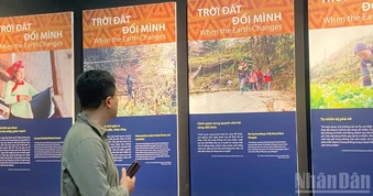 "Gieo xanh nơi đỉnh mây": Chuyện về những người phụ nữ vùng cao với nỗ lực bảo tồn di sản