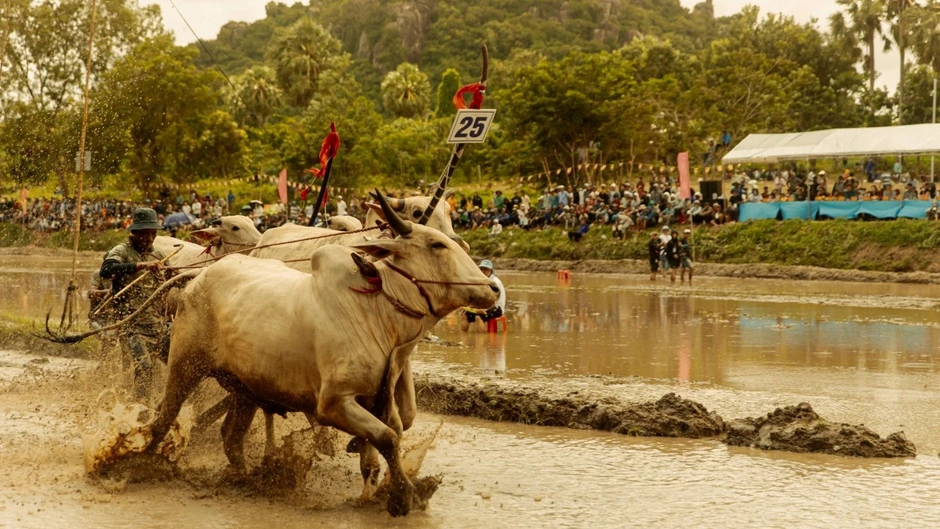 "Trại buôn người” đưa sắc màu văn hóa bản địa lên màn ảnh rộng "Trại buôn người” đưa sắc màu văn hóa bản địa lên màn ảnh rộng