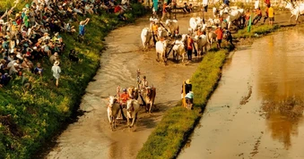 "Trại buôn người” đưa sắc màu văn hóa bản địa lên màn ảnh rộng
