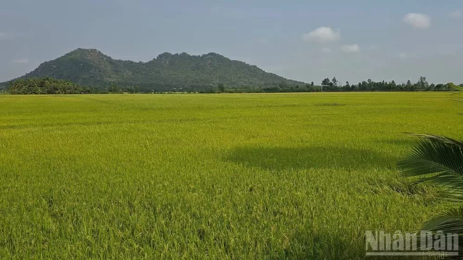 An Giang: Bảo tồn và phát huy giá trị văn hóa Óc Eo gắn chặt với phát triển kinh tế-xã hội