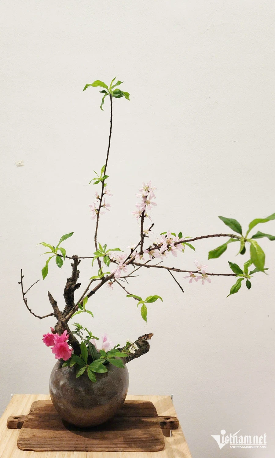 Chiêm ngưỡng các tác phẩm nghệ thuật hoa đạo