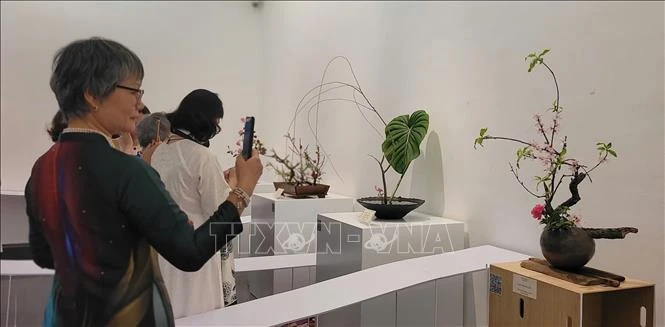 Chiêm ngưỡng nghệ thuật hoa đạo Nhật Bản trong không gian văn hóa Hà Nội Chiêm ngưỡng nghệ thuật hoa đạo Nhật Bản trong không gian văn hóa Hà Nội