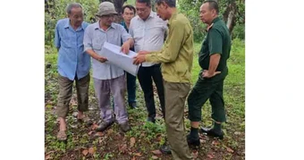 Chung mạch ngầm cảm xúc của 'Sống đẹp'