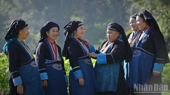 Chuỗi hoạt động đặc sắc tôn vinh giá trị văn hóa các dân tộc Việt Nam