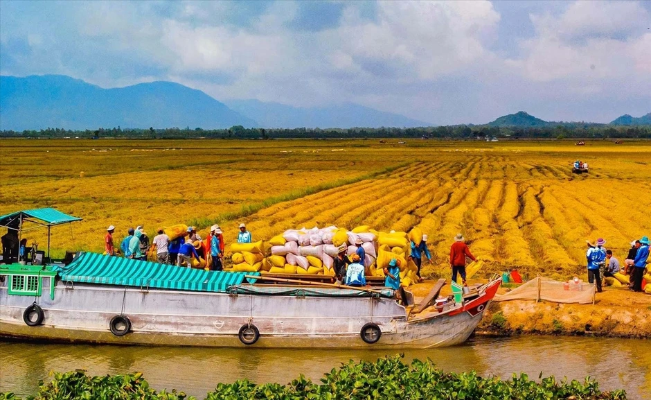 Công nghiệp văn hóa ở ĐBSCL: Từ tài nguyên bản sắc đến động lực phát triển mới