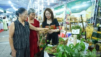 Đà Nẵng lần đầu tổ chức Lễ hội Sâm Ngọc Linh và Dược liệu quốc tế