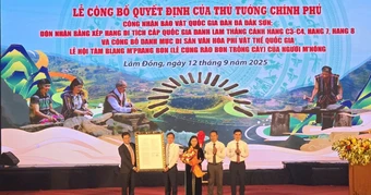 Đàn đá Đắk Sơn ở Lâm Đồng được công nhận là bảo vật quốc gia