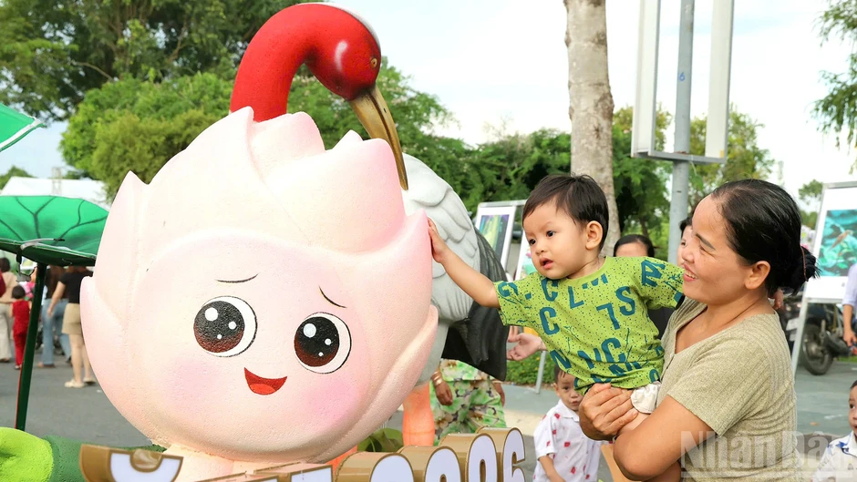 Dấu ấn một mùa hội sen Dấu ấn một mùa hội sen