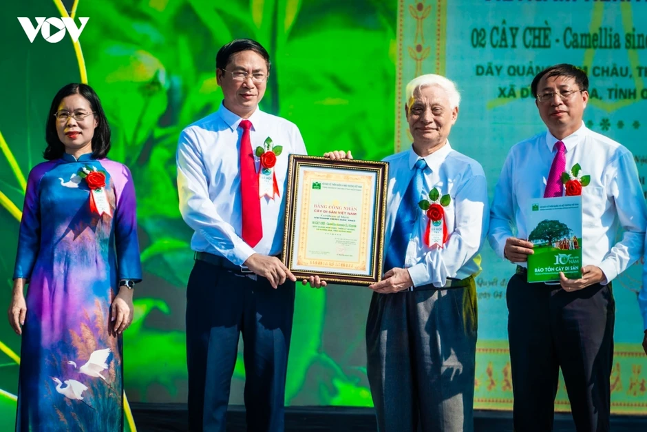 Đường Hoa, Quảng Ninh đón nhận Bằng công nhận Cây chè Di sản Đường Hoa, Quảng Ninh đón nhận Bằng công nhận Cây chè Di sản