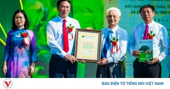 Đường Hoa, Quảng Ninh đón nhận Bằng công nhận Cây chè Di sản