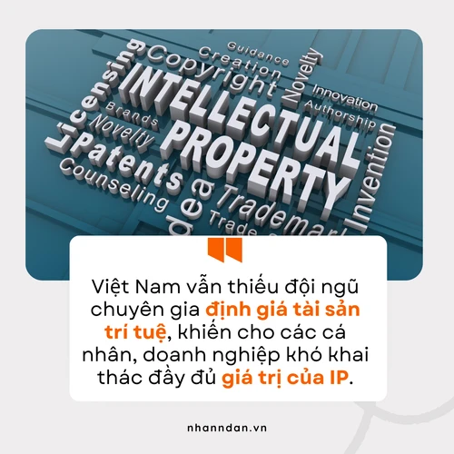 Giá trị thực đằng sau một IP Giá trị thực đằng sau một IP