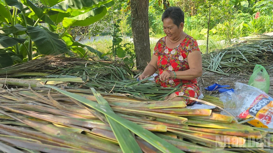 Giữ lửa làng nghề bó chổi cọng dừa Vĩnh Chánh