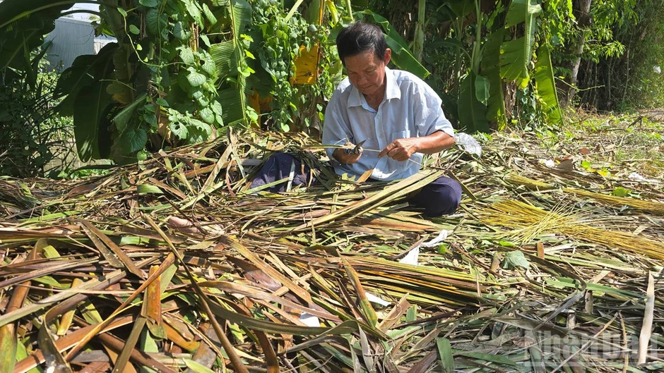 Giữ lửa làng nghề bó chổi cọng dừa Vĩnh Chánh