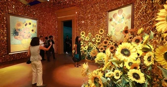 Hà Nội: Triển lãm tái hiện 165 kiệt tác bất hủ của Vincent Van Gogh bằng công nghệ hiện đại