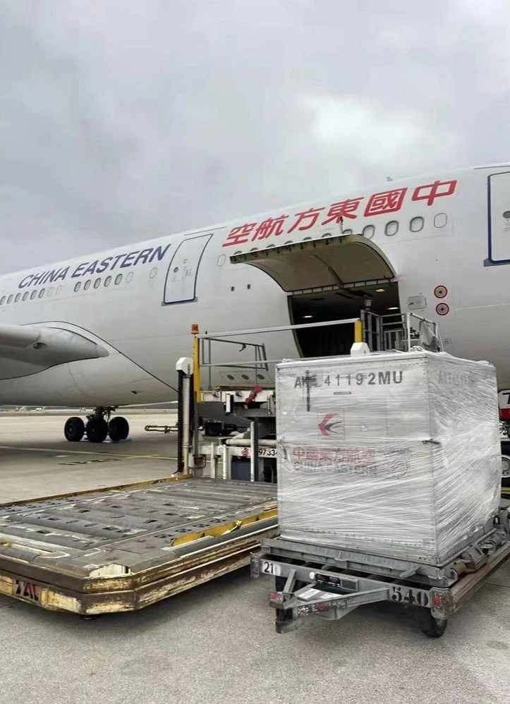Hành trình đưa báu vật sách cổ 9 triệu USD từ Pháp về Trung Quốc Hành trình đưa báu vật sách cổ 9 triệu USD từ Pháp về Trung Quốc