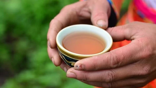 Hình thành mạng lưới kết nối, bảo tồn và phát huy giá trị văn hóa trà Việt Nam Hình thành mạng lưới kết nối, bảo tồn và phát huy giá trị văn hóa trà Việt Nam