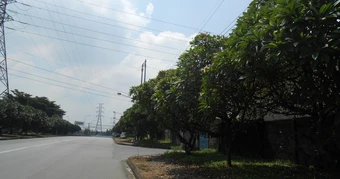 Hoa sứ khu công nghiệp