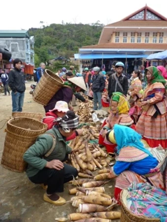 Hương sắc ba miền
