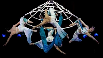 Khi Xiếc Việt “trở mình”