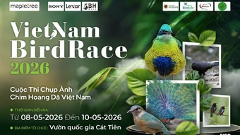 Khởi động sự kiện nhiếp ảnh quốc tế Vietnam BirdRace 2026