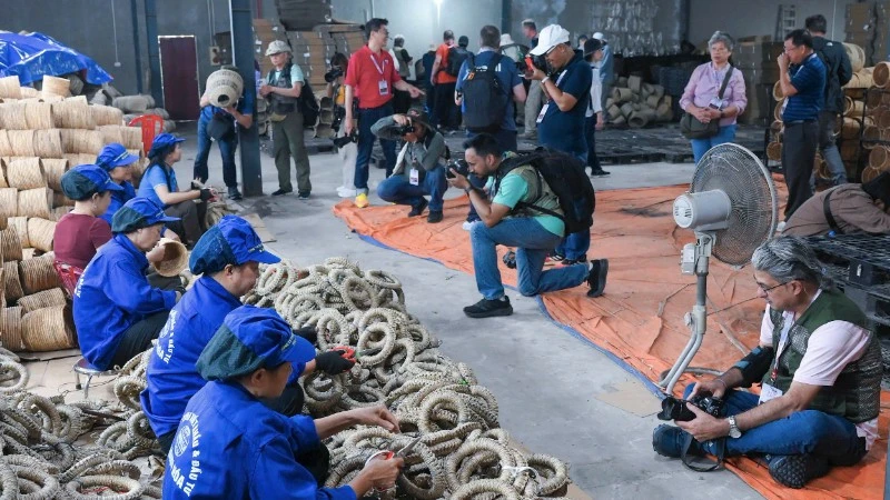 Lan tỏa vẻ đẹp Việt Nam ra thế giới qua ống kính nhiếp ảnh Lan tỏa vẻ đẹp Việt Nam ra thế giới qua ống kính nhiếp ảnh