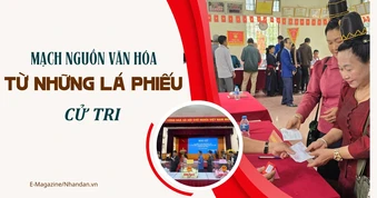 Mạch nguồn văn hóa từ những lá phiếu cử tri
