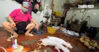 Nghệ sĩ bày tỏ quan điểm về nạn giết mổ lậu chó, mèo