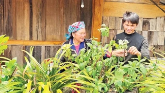 Ngọc Chiến - Miền đất hạnh phúc