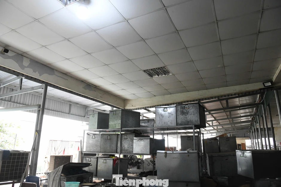 Ngự trên khu đất vàng, Nhà hát Kịch Việt Nam xập xệ, mưa dột tứ phía