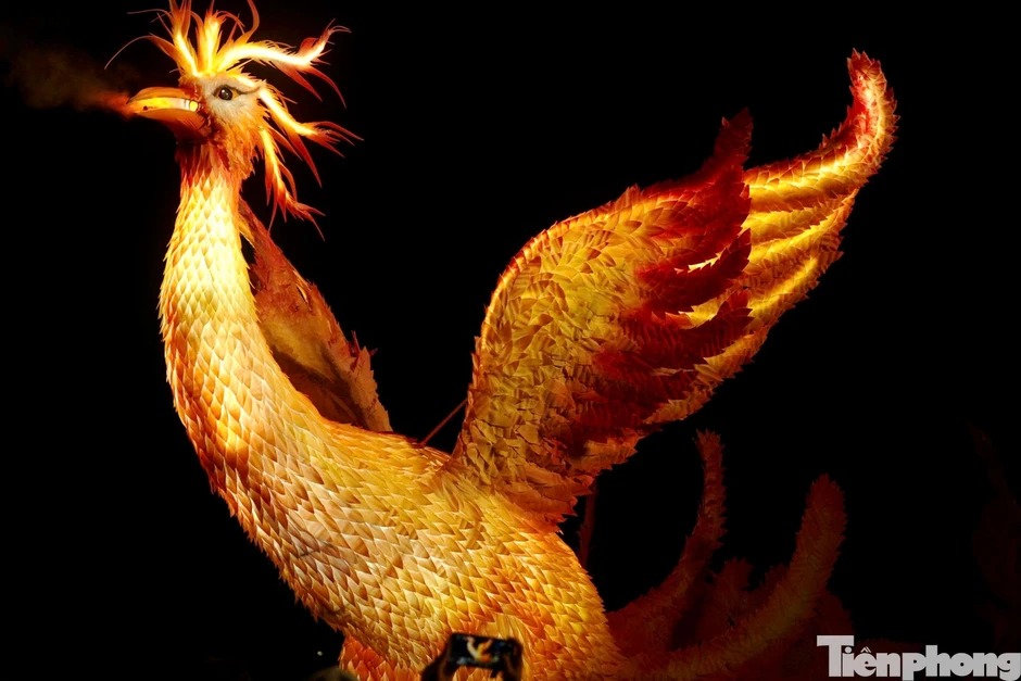 Phượng hoàng 'khủng' nổi bật giữa biển người ở Đà Lạt Phượng hoàng 'khủng' nổi bật giữa biển người ở Đà Lạt
