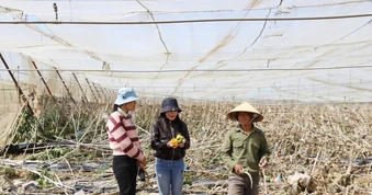 Tác nghiệp ở vùng đất mới