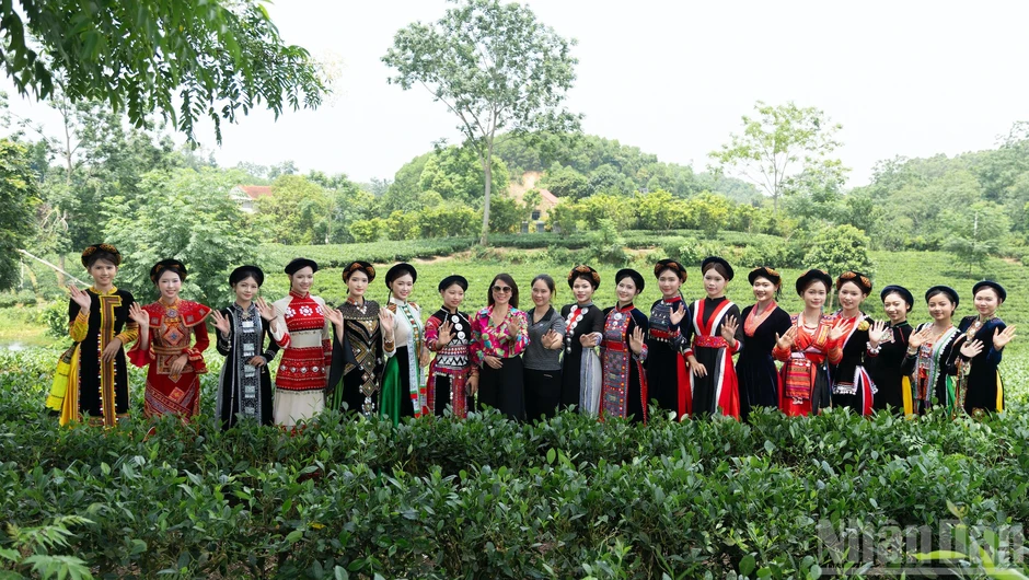 Tôn vinh văn hóa xứ trà giữa miền xanh Vô Tranh Tôn vinh văn hóa xứ trà giữa miền xanh Vô Tranh