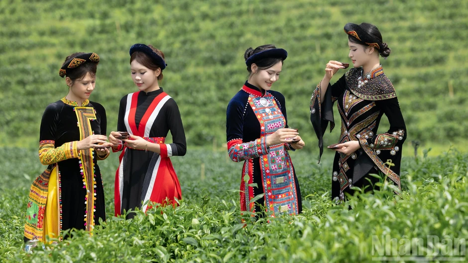 Tôn vinh văn hóa xứ trà giữa miền xanh Vô Tranh Tôn vinh văn hóa xứ trà giữa miền xanh Vô Tranh