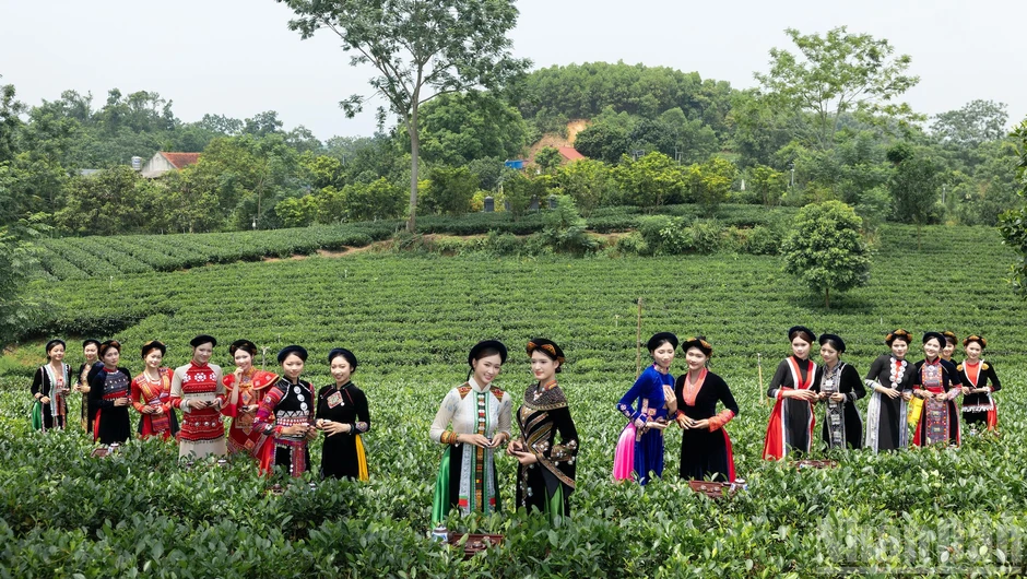 Tôn vinh văn hóa xứ trà giữa miền xanh Vô Tranh Tôn vinh văn hóa xứ trà giữa miền xanh Vô Tranh