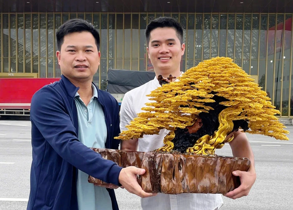 Tuyệt kỹ tạo tác cây cảnh từ dây kim loại Tuyệt kỹ tạo tác cây cảnh từ dây kim loại