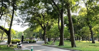 Ươm mầm không gian sáng tạo