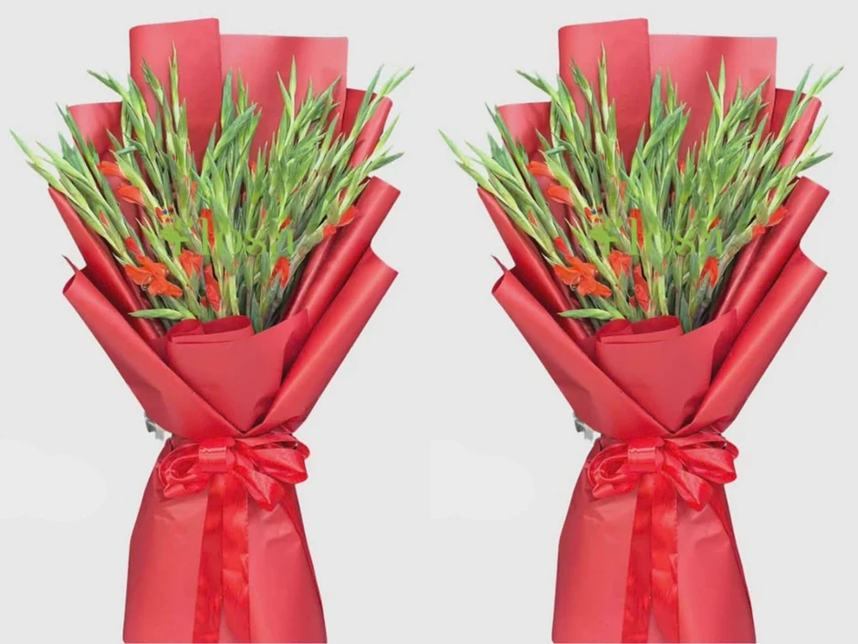 Vì sao hoa lay ơn được chọn để trao tặng trong các nghi thức trang trọng?